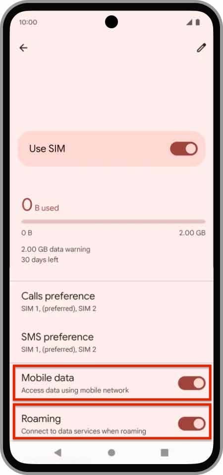 Ative os dados móveis e o roaming